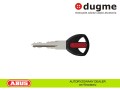 abus2.jpg